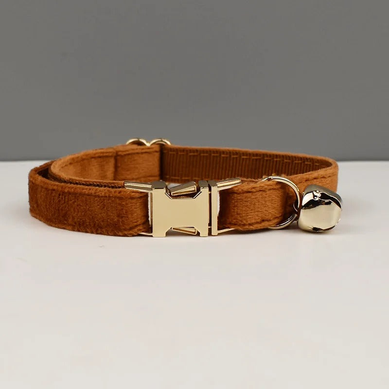 Personalised Cat Collar