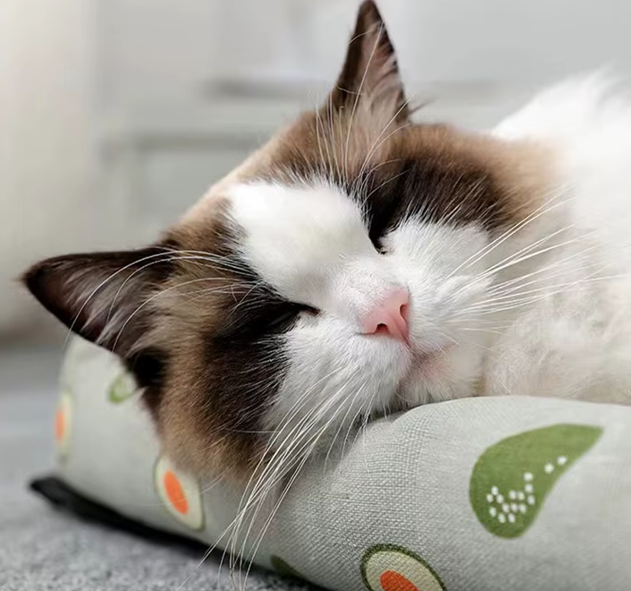 Cat Anti-Slip Cooling Mat