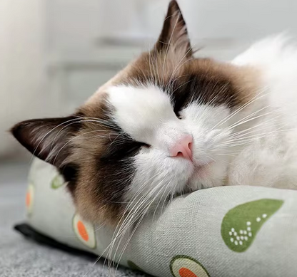 Cat Anti-Slip Cooling Mat