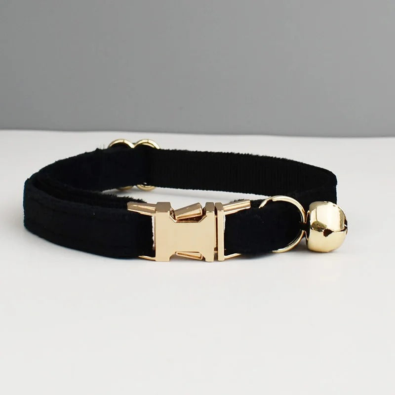 Personalised Cat Collar
