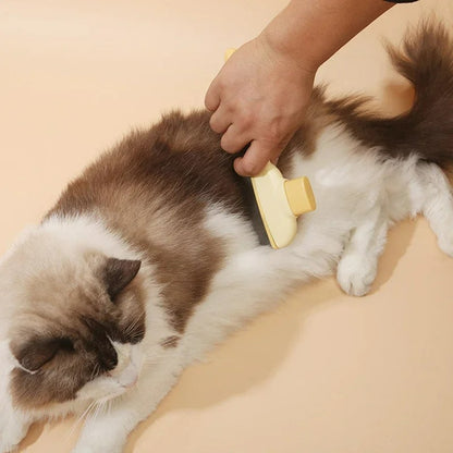 Self-Cleaning Grooming Comb